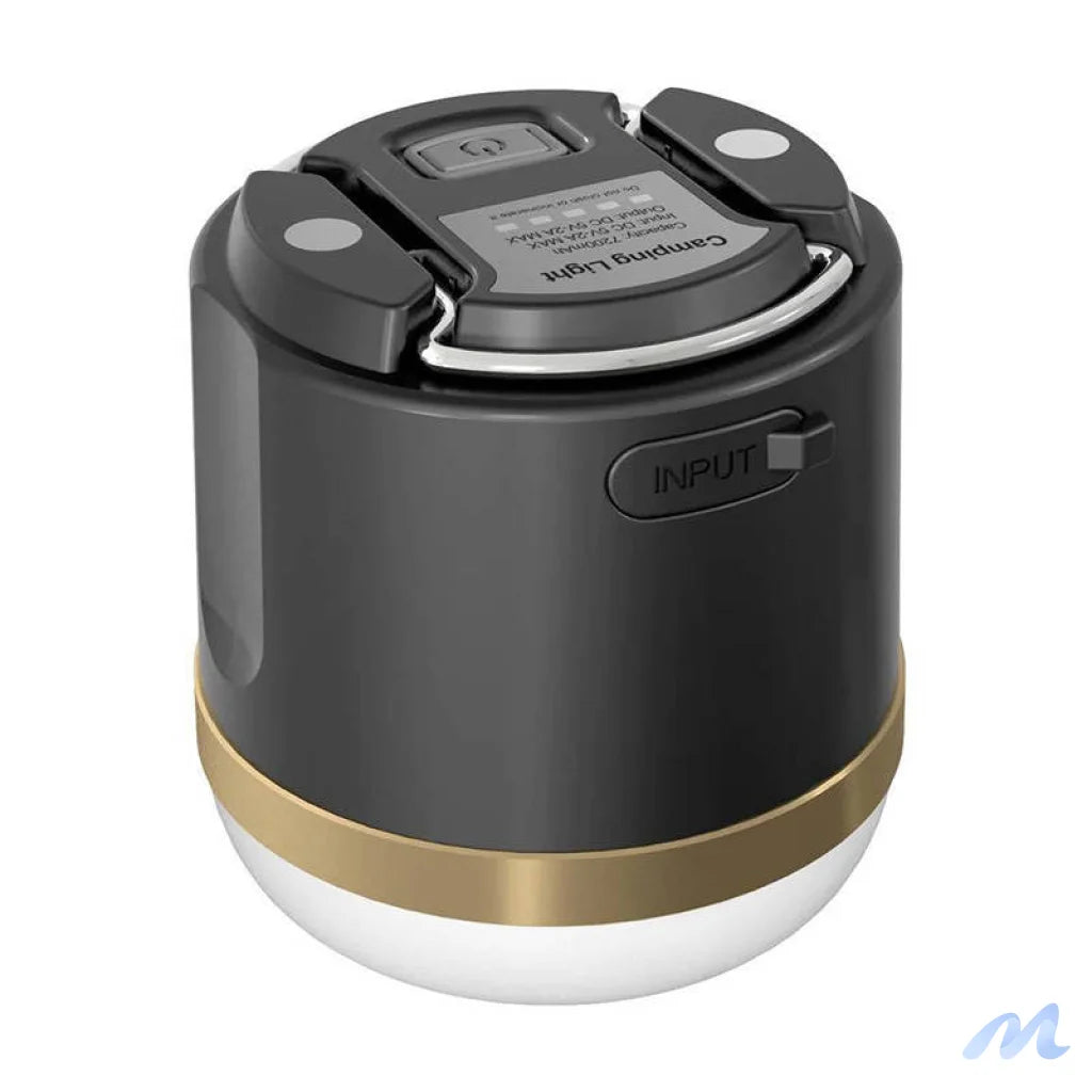 EcoFlow camping light