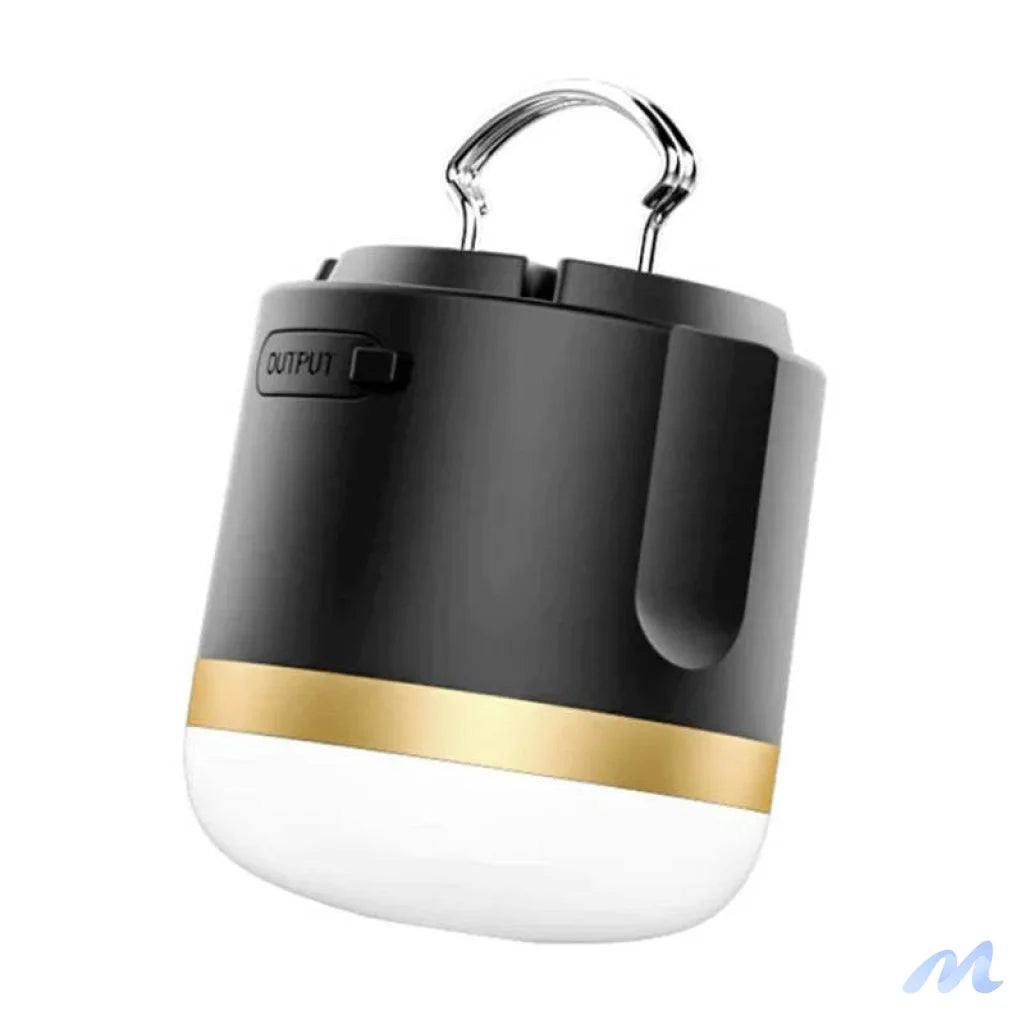 EcoFlow camping light