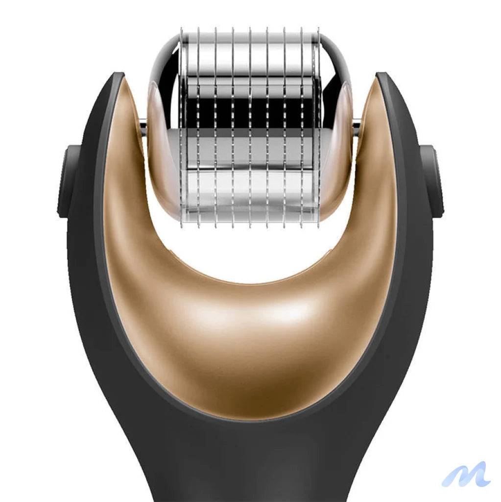 Face Roller Micro Needle Head Geske