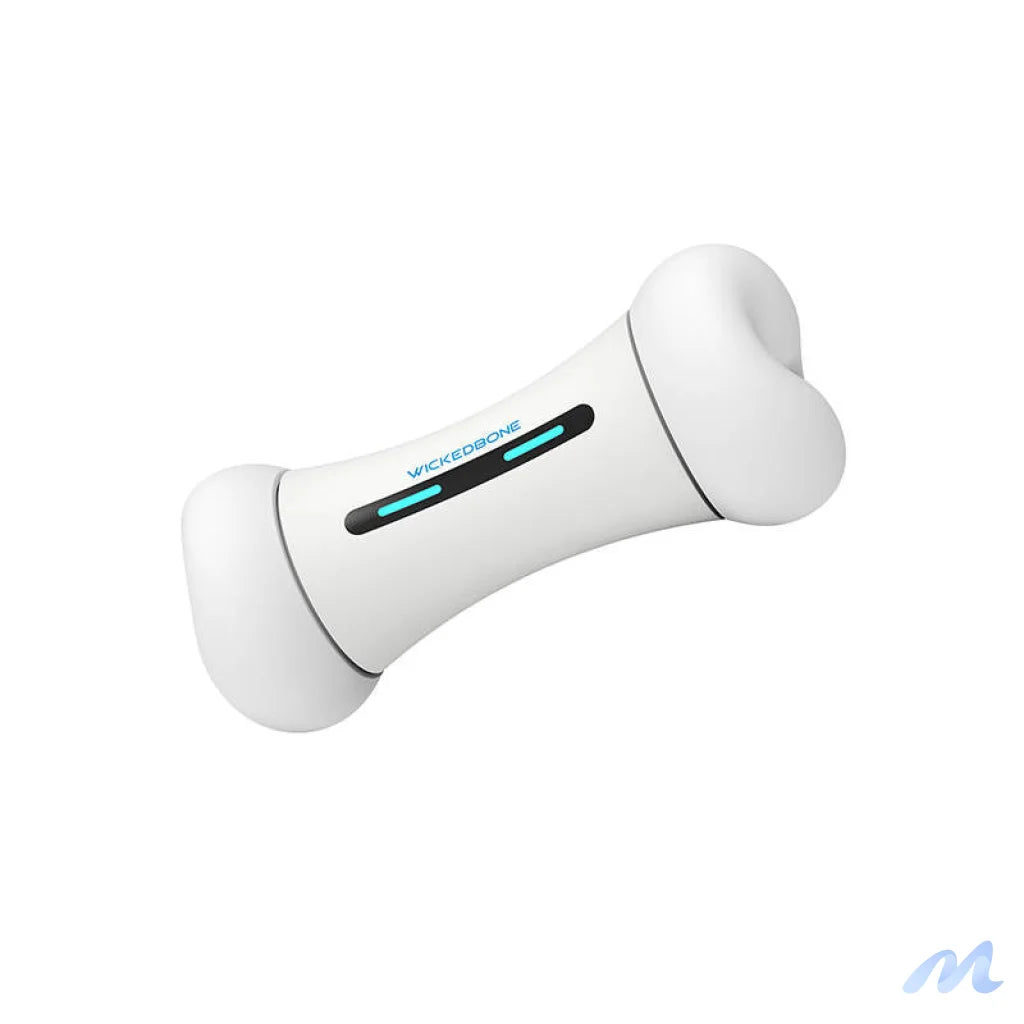 Interactive Dog Toy Cheerble Wickedbone