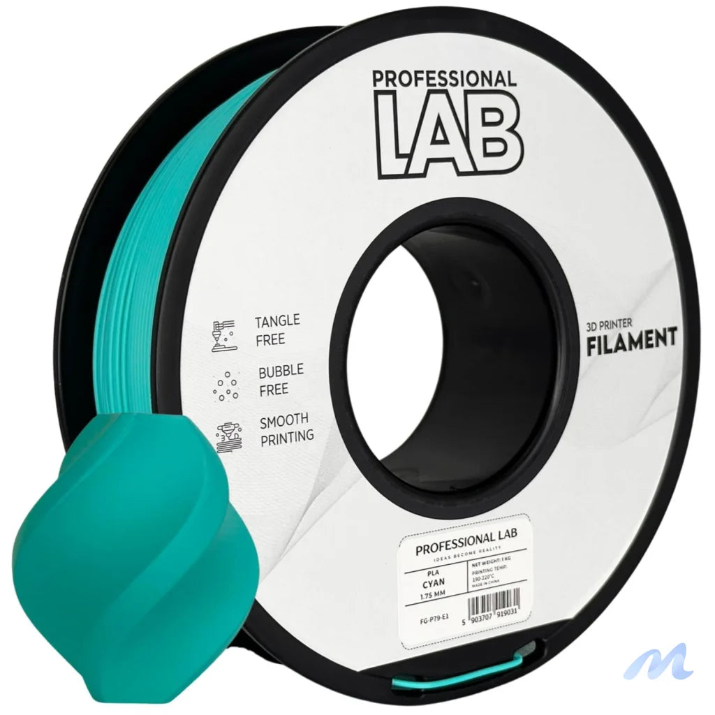 PLA is a basic and user-friendly filament, perfect for beginners. It prints easily, has good layer adhesion, and low warping.