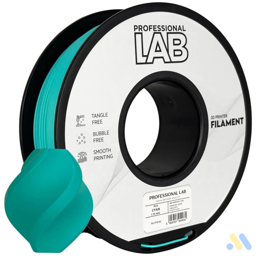 PLA is a basic and user-friendly filament, perfect for beginners. It prints easily, has good layer adhesion, and low warping.