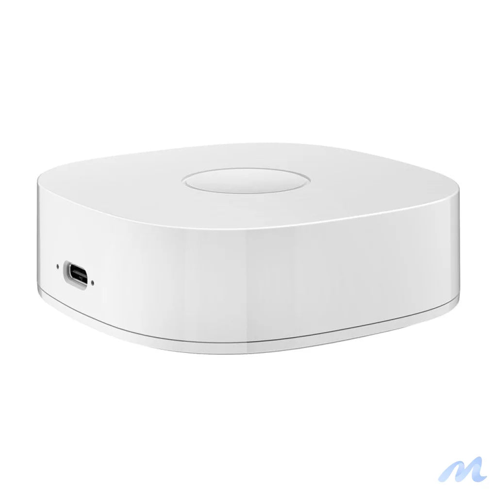 Smart home WS2GW-R WiFi