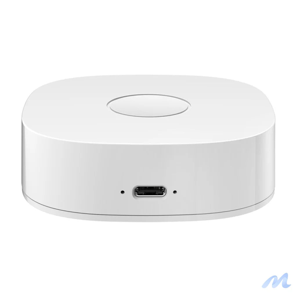 Smart home WS2GW-R WiFi