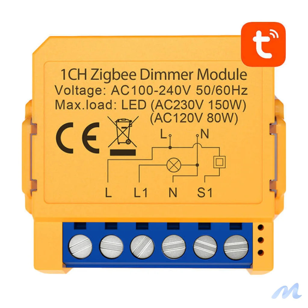 Smart socket switch ZigBee Avatto ZDMS16-2 TUYA
