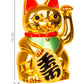 Chinese cat - golden-5