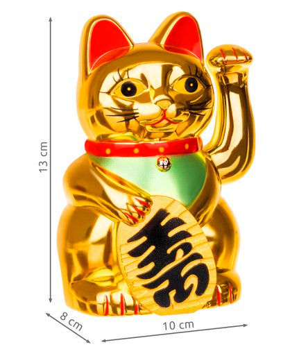 Chinese cat - golden-5