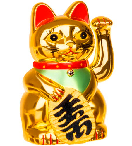 Chinese cat - golden Ruhhy 5902367976927