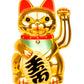 Chinese cat - golden-1