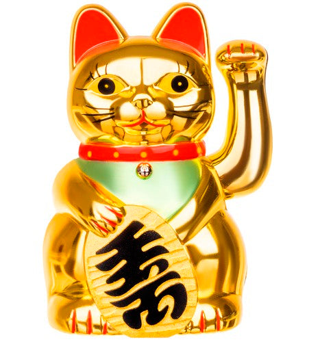 Chinese cat - golden-1