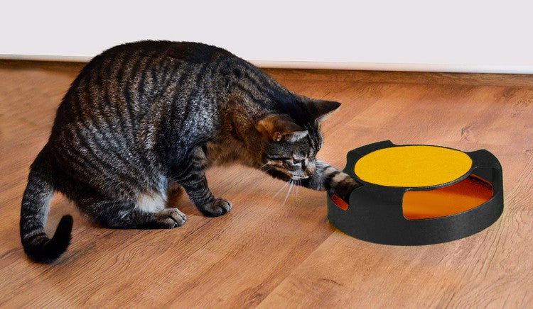 A toy for a cat - a wheel with a mouse-8