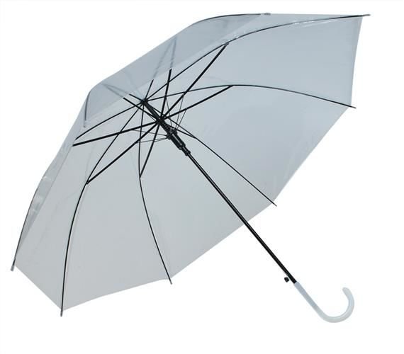 Transparent white umbrella-1