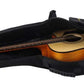 Guitar case-3