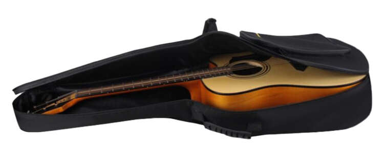 Guitar case-3