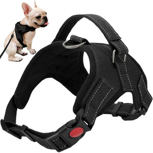 Pressure-free harness for dogs S Purlov 5902802922113