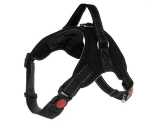 Pressure-free dog harness M-1