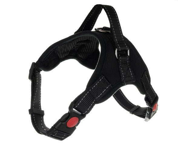 Pressure-free dog harness L-1