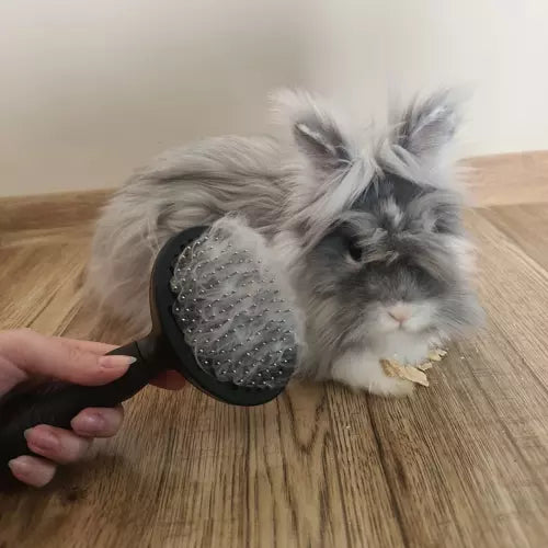 Self-cleaning fur brush-7