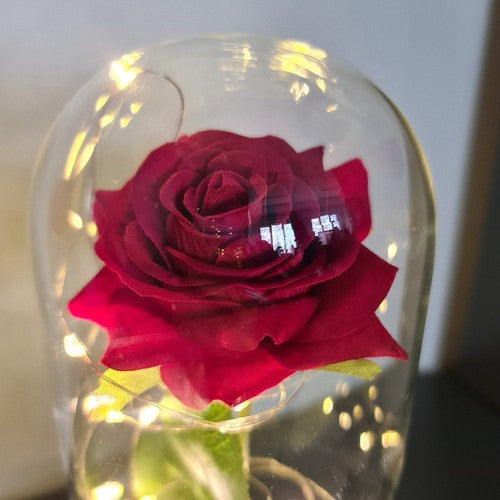 Rose in glass - luminous Malatec 21619-12