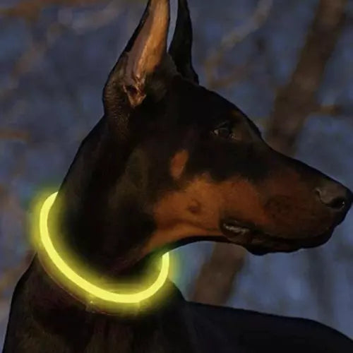 LED light-adjustable collar Purlov 21631-12