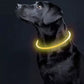 LED light-adjustable collar Purlov 21631-11