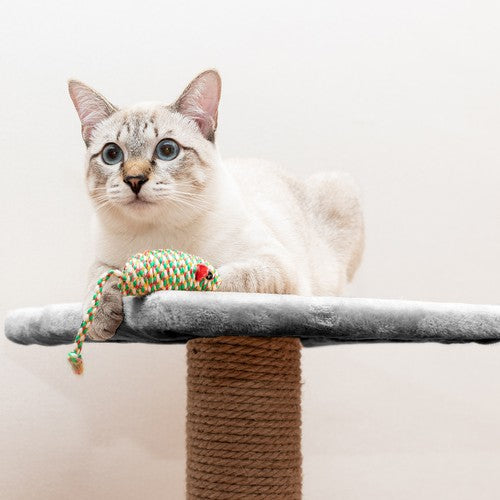 Cat tree 71cm gray Purlov 21712-11