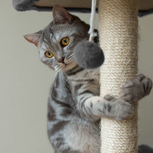 Cat tree 71cm gray Purlov 21712-12