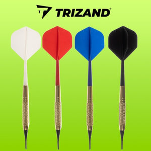 Darts set of 12 pieces + Trizand 21658 tips-1