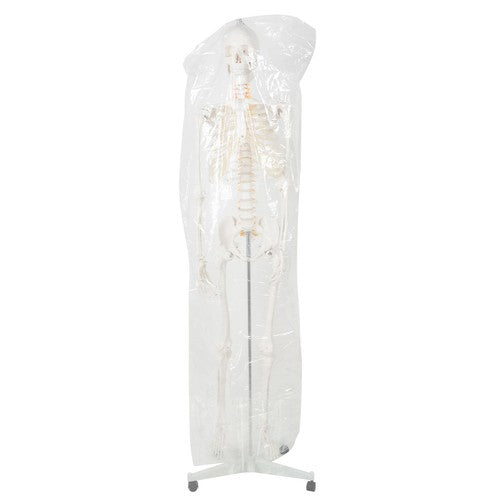 Human Skeleton - 170cm Malatec 22583-9