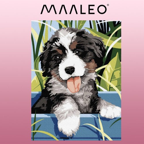 Painting by numbers 40x30cm - Maaleo dog 22780-1