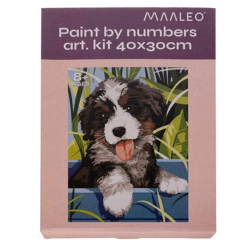 Painting by numbers 40x30cm - Maaleo dog 22780-4