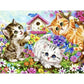 Painting by numbers 40x50cm - Maaleo cats 22781-2