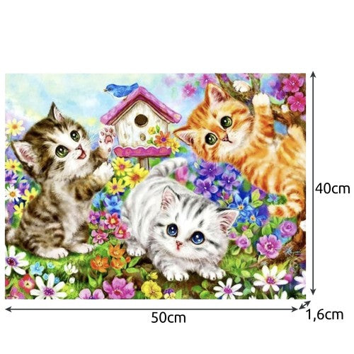 Painting by numbers 40x50cm - Maaleo cats 22781-3