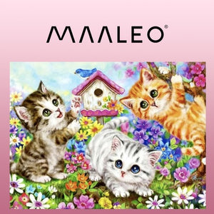 Painting by numbers 40x50cm - Maaleo cats 22781-1