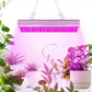 225 LED lamp/panel for growing plants. 23525-12