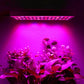 225 LED lamp/panel for growing plants. 23525-14