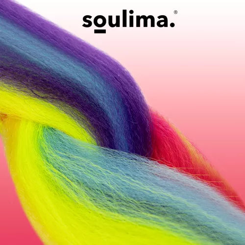 Synthetic hair rainbow braids Soulima 23571-3