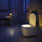 LED Night Light with Motion Sensor Izoxis 24240-14