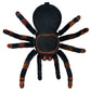 Remote controlled spider 22445-11