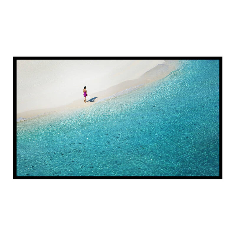 Projection screen BlitzWolf BW-VS4 100"
