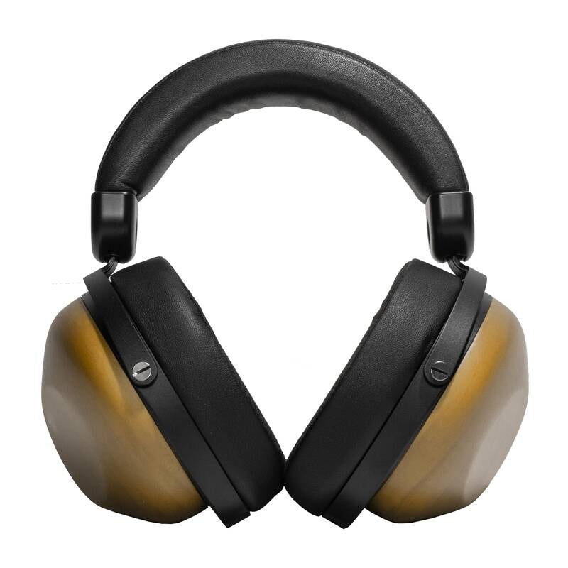 HiFiMAN HE-R10D wireless dynamic headphones