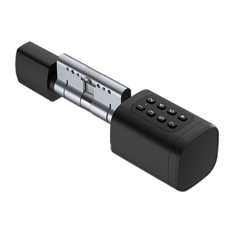 Avatto SDL-V1-B100 100mm digital lock cylinder Black