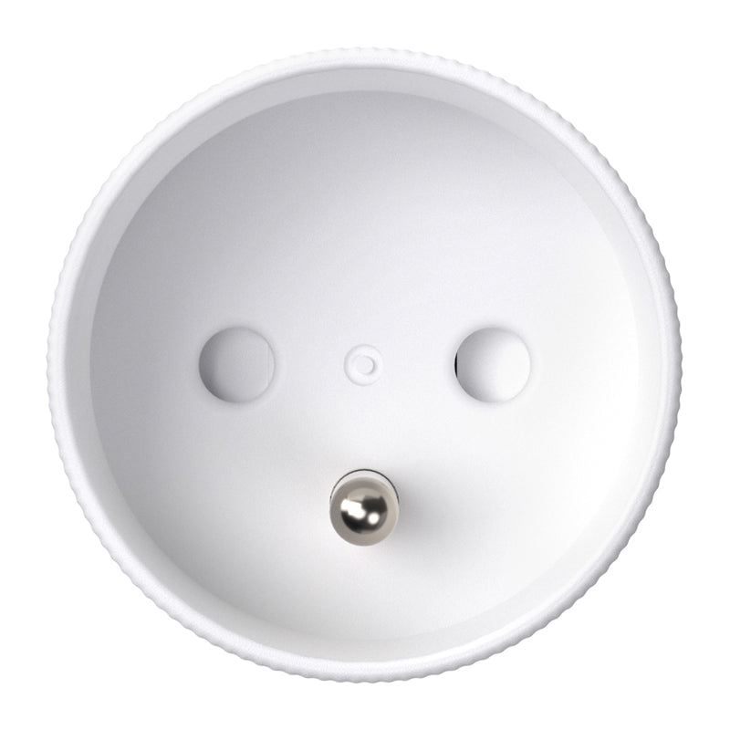 Avatto OT60-FR Smart Socket