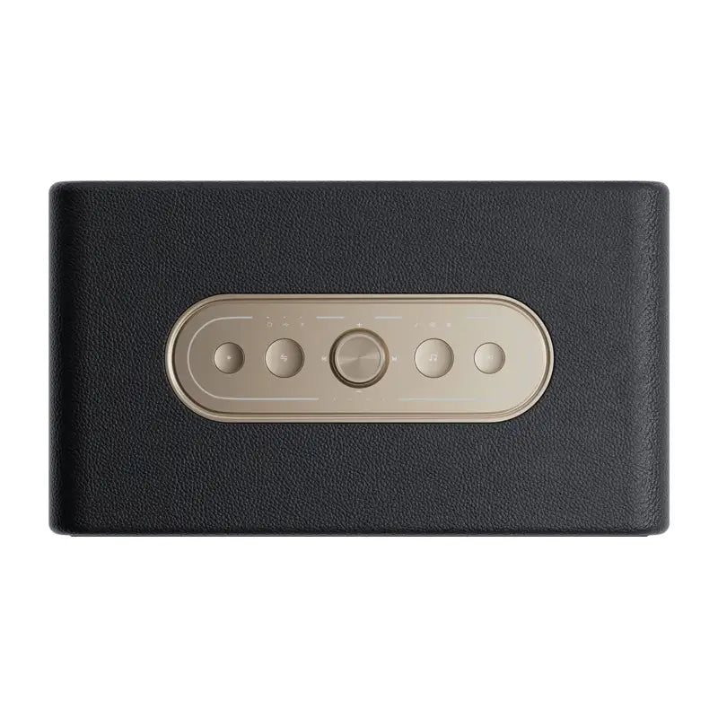 QCY SP300 Wireless Speaker (Black)