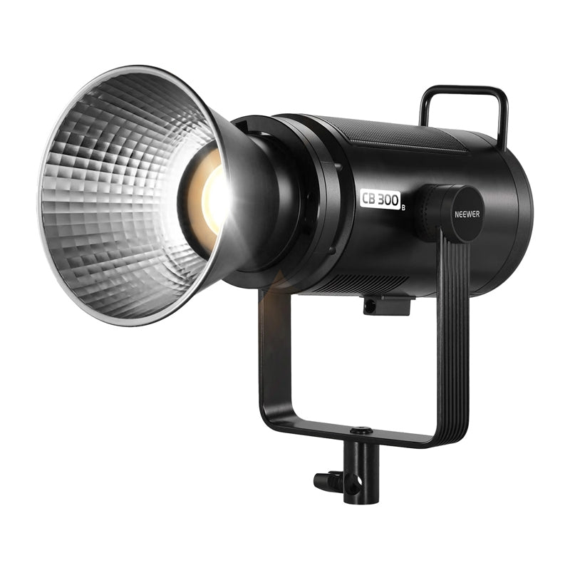 Neewer CB300B BiColor LED Light