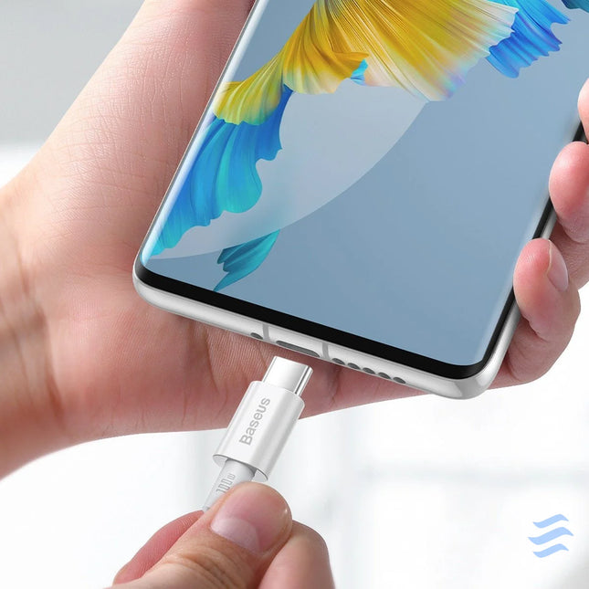 Baseus Superior Series Cable USB C to USB C 100W 1m (white) USB C to USB C