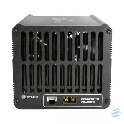 Battery Discharger Analyzer SkyRC BD350 for SkyRc T1000 and SkyRC D200Neo Tools and meters