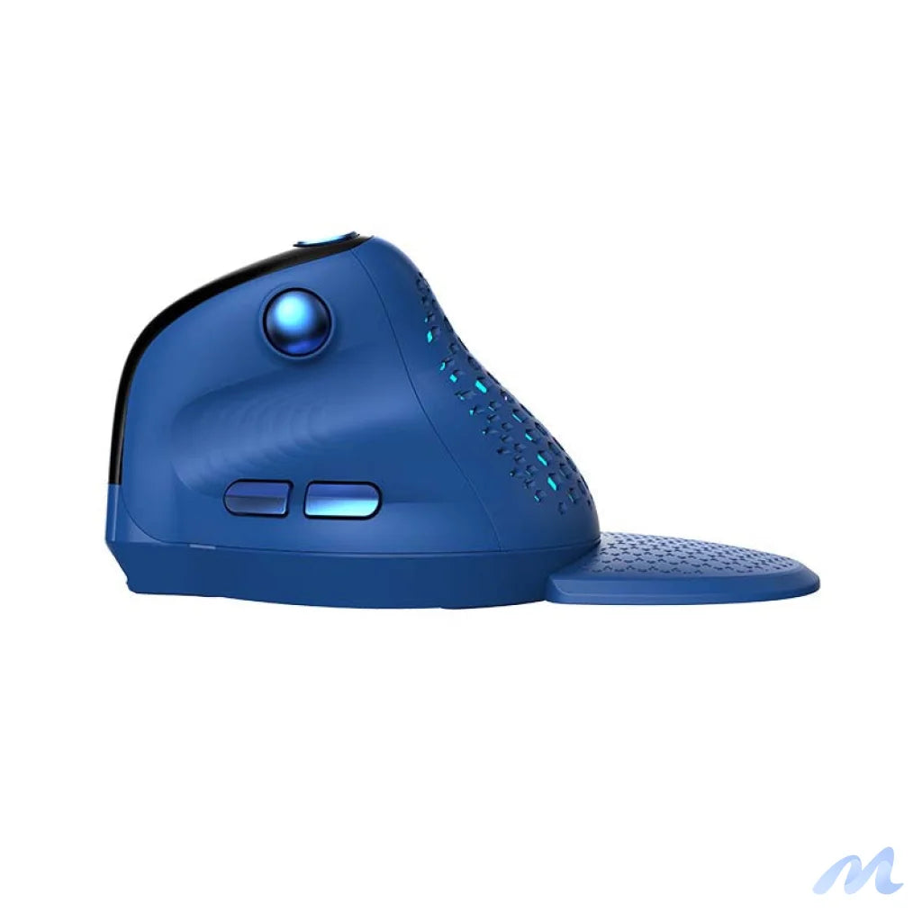 Bezprzewodowa mysz pionowa Delux M618XSD BT+2.4G RGB (niebieska)