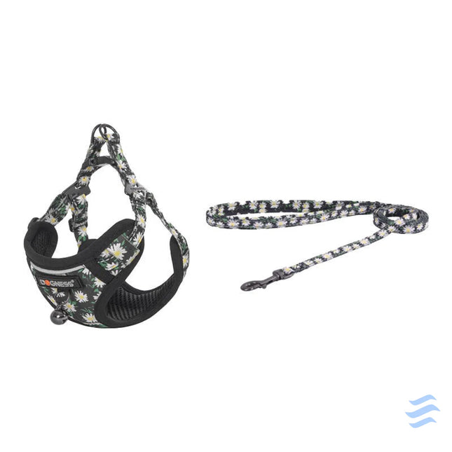 Cat set Dogness harness and leash 1,5m (Daisy Black) Walking and transportation