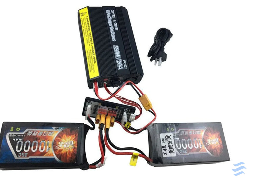 Charger SkyRC PC520 Chargers